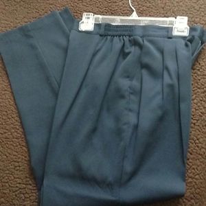 Briggs NWT navy slacks size 12
